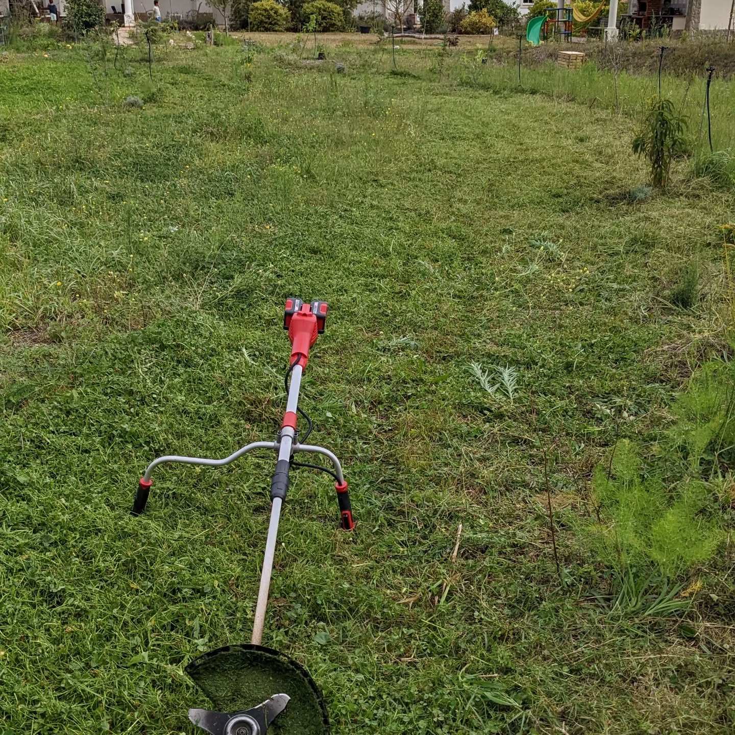 #mowing