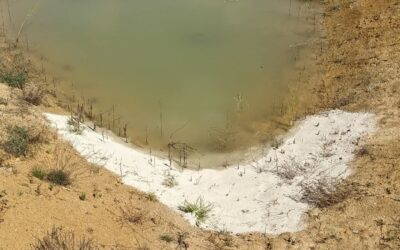 Added #bentonite to one end of the west #pond hoping it’ll allow the water level to go higher.