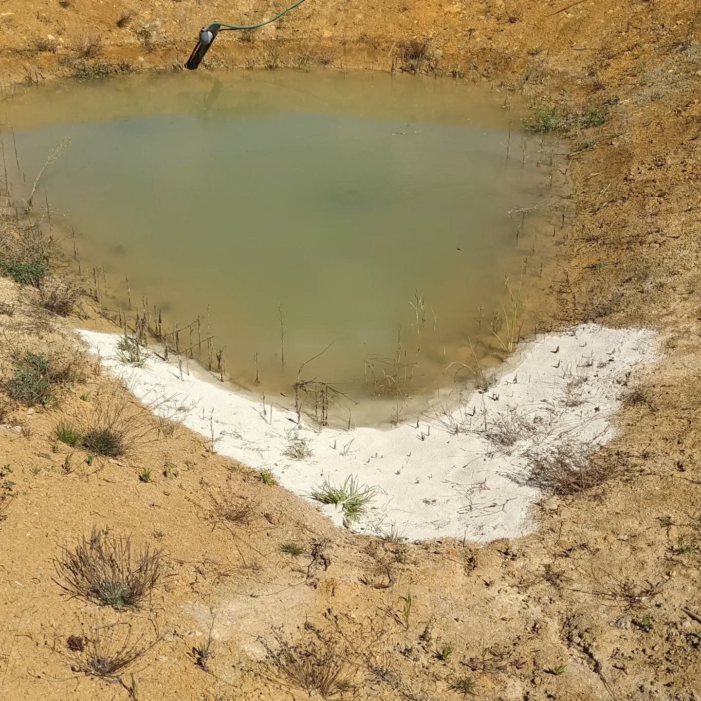Added #bentonite to one end of the west #pond hoping it’ll allow the water level to go higher.