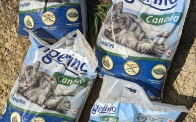 Adding a bunch of #bentonite to seal the north #pond. The cheapest source we found is this unscented cat litter, which seems to work.