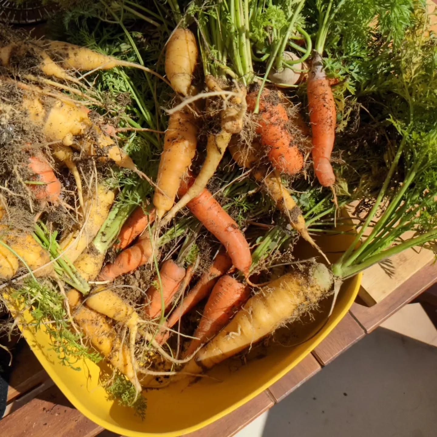 Sometimes we harvest