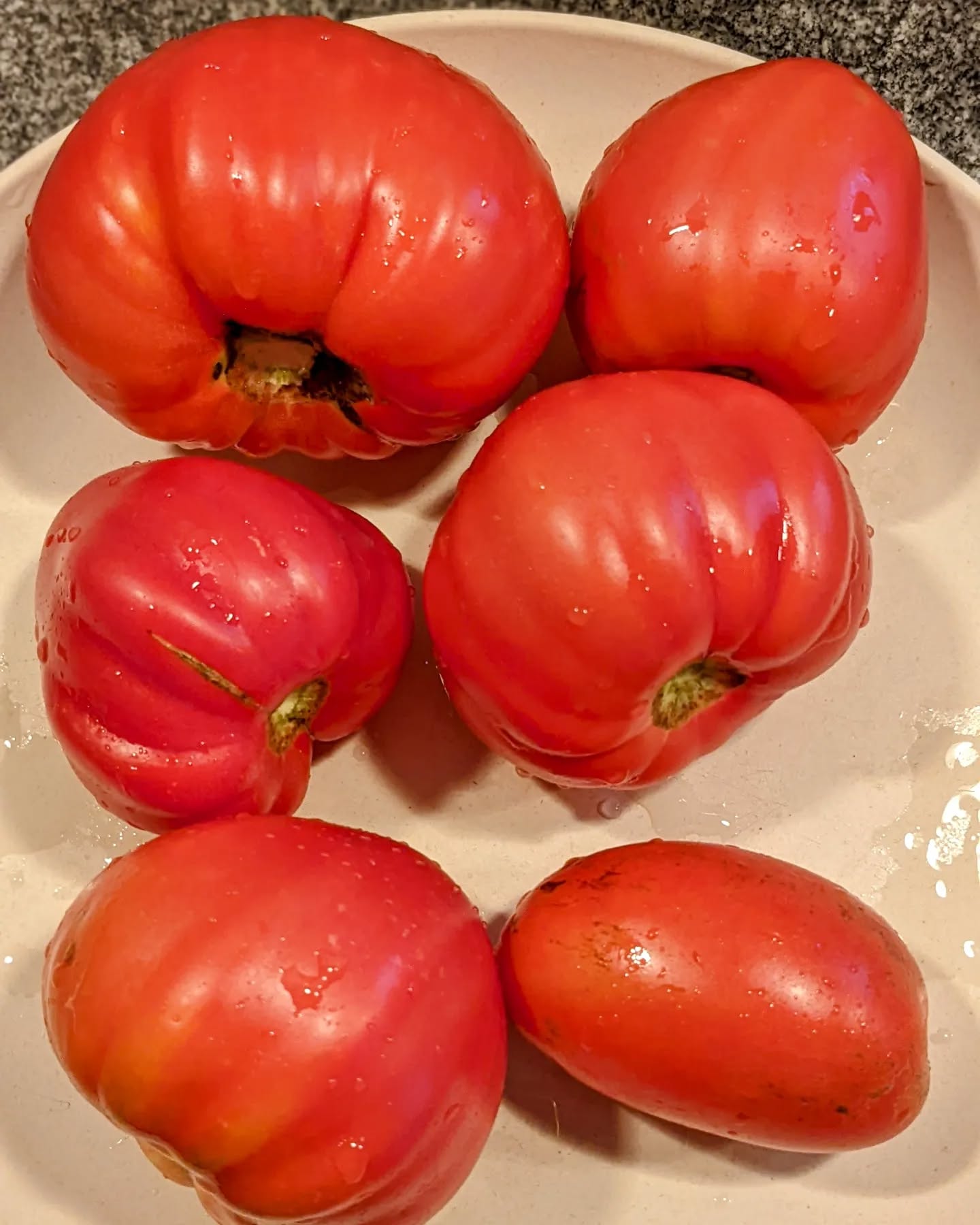 Tonight’s #tomato #harvest