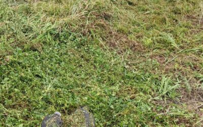 #chopanddrop in #zone2