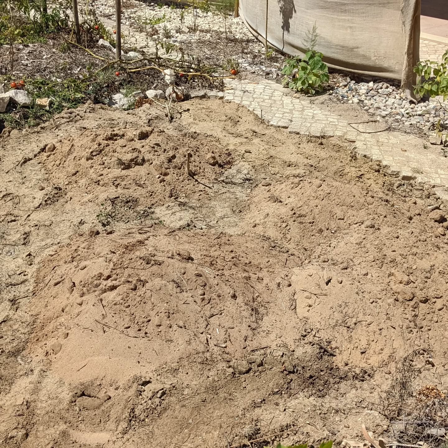 Finishing up the new #hugelbed : some more sand, shredded pine mulch, and edging.