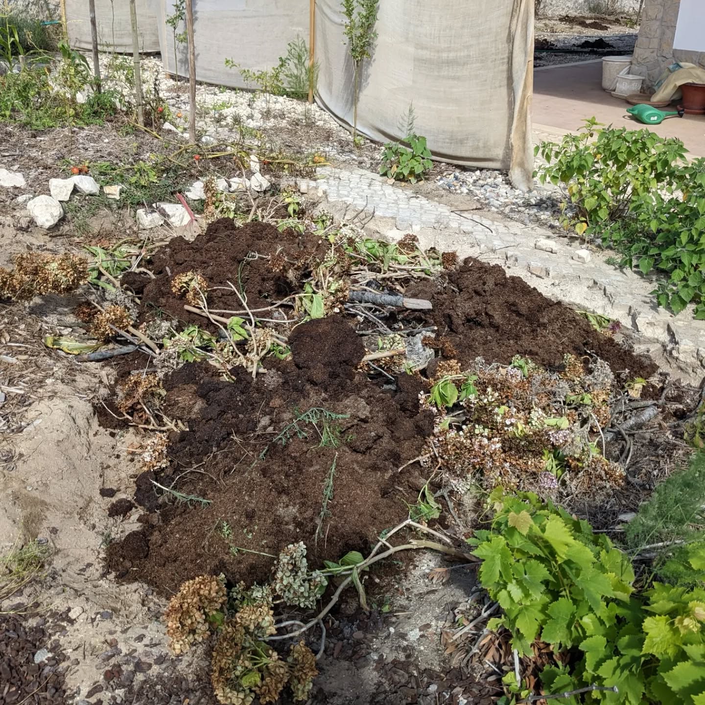 Added manure and soil to the new #hugelbed