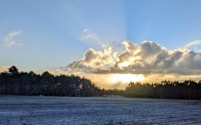 #morningride #ridemtb