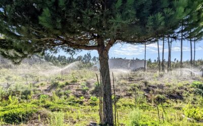 Replaced waterproof wire splice for an #electrovalve that wasn’t working.