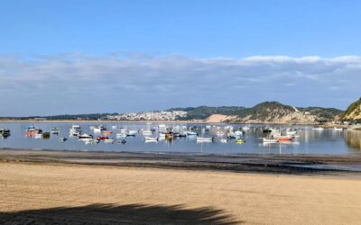 #morningride #ridemtb