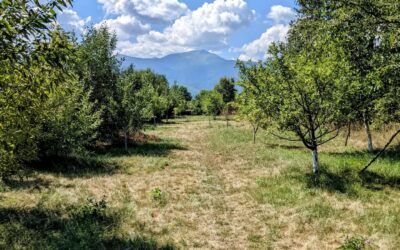 Childhood vacation spot, countryside at the grandparents. The generations are different and things have changed, yet it retains its charm.