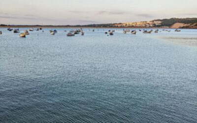 #morningride #ridemtb