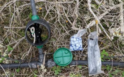 Wiring up more #irrigation valves.