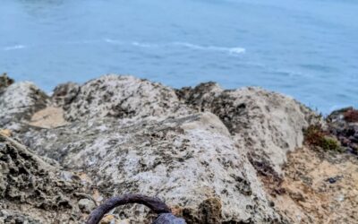 #morningride #ridemtb #rust