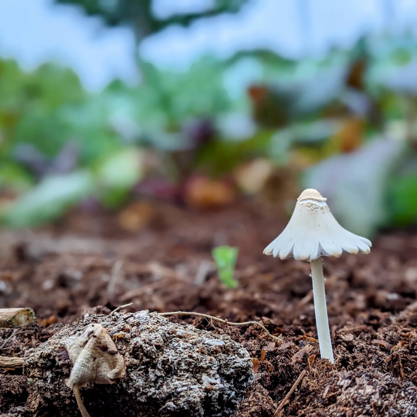 Good morning, #life and #nature