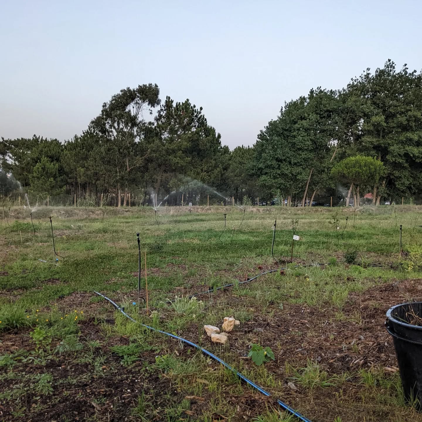 Irrigation back on after a day without. One of the pumps seemed broken but might be just running with degraded performance. It’ll likely need replacement ASAP but we have a workaround for now…