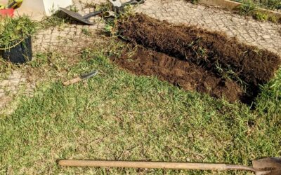 Exploratory digging in the lawn to find tubes. There should be some prepared for a pool (which we won’t build), that could be used to run a power cable outdoors for the #irrigation controllers.