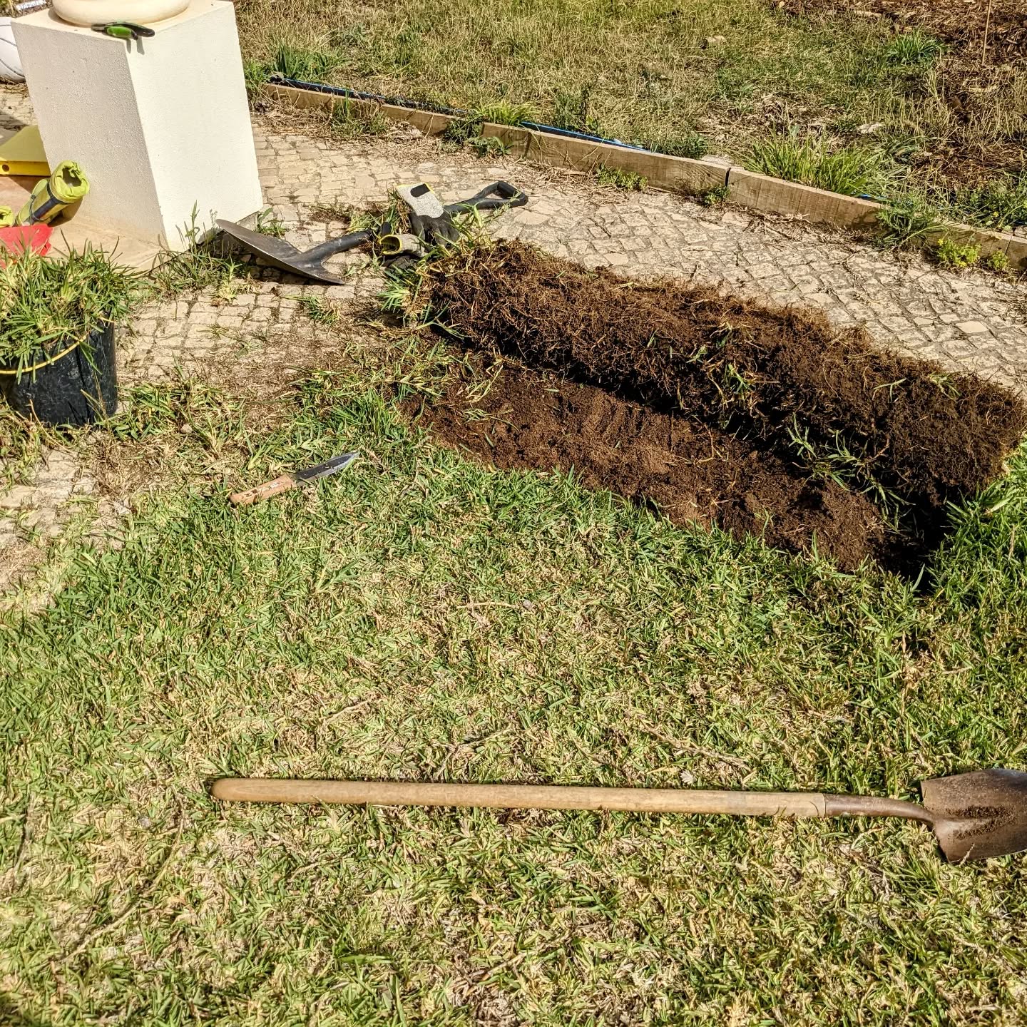 Exploratory digging in the lawn to find tubes. There should be some prepared for a pool (which we won’t build), that could be used to run a power cable outdoors for the #irrigation controllers.