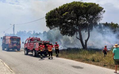 Wildfire 150m from our home 😰 luckily put out before causing much trouble.