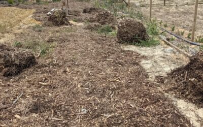 Continuing to #mulch bare soil around the west #pond