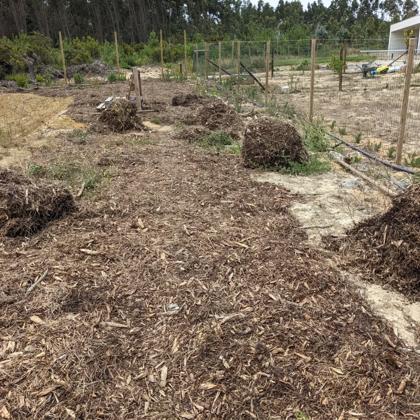 Continuing to #mulch bare soil around the west #pond
