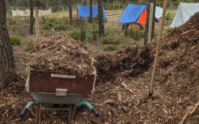 #mulching bare soil around the west pond