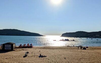 Almost but not yet #sunset