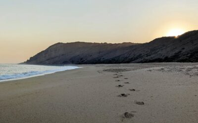 #morningride #ridemtb #sunrise