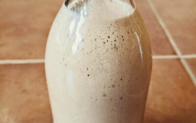 Milk #Kefir Lusitanica