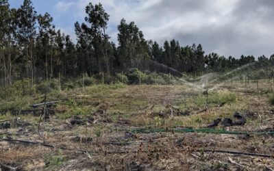 New day, new #irrigation line up and running