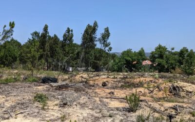 Two more #irrigation zones up and running