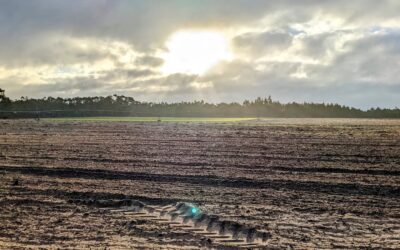 Getting stuck on a sandy potato field on the #morningride 😅