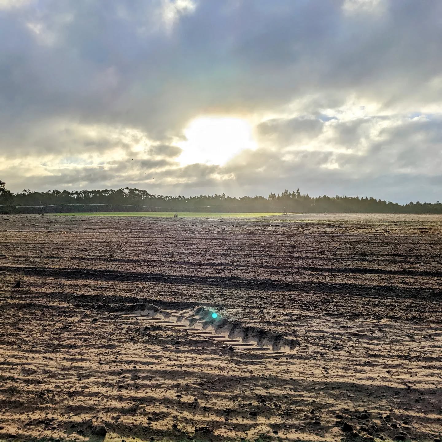 Getting stuck on a sandy potato field on the #morningride 😅