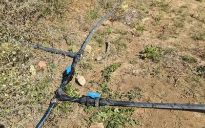 Changed shutoff valves to the #irrigation mainline ring to make it less impactful to shut down the first segments.