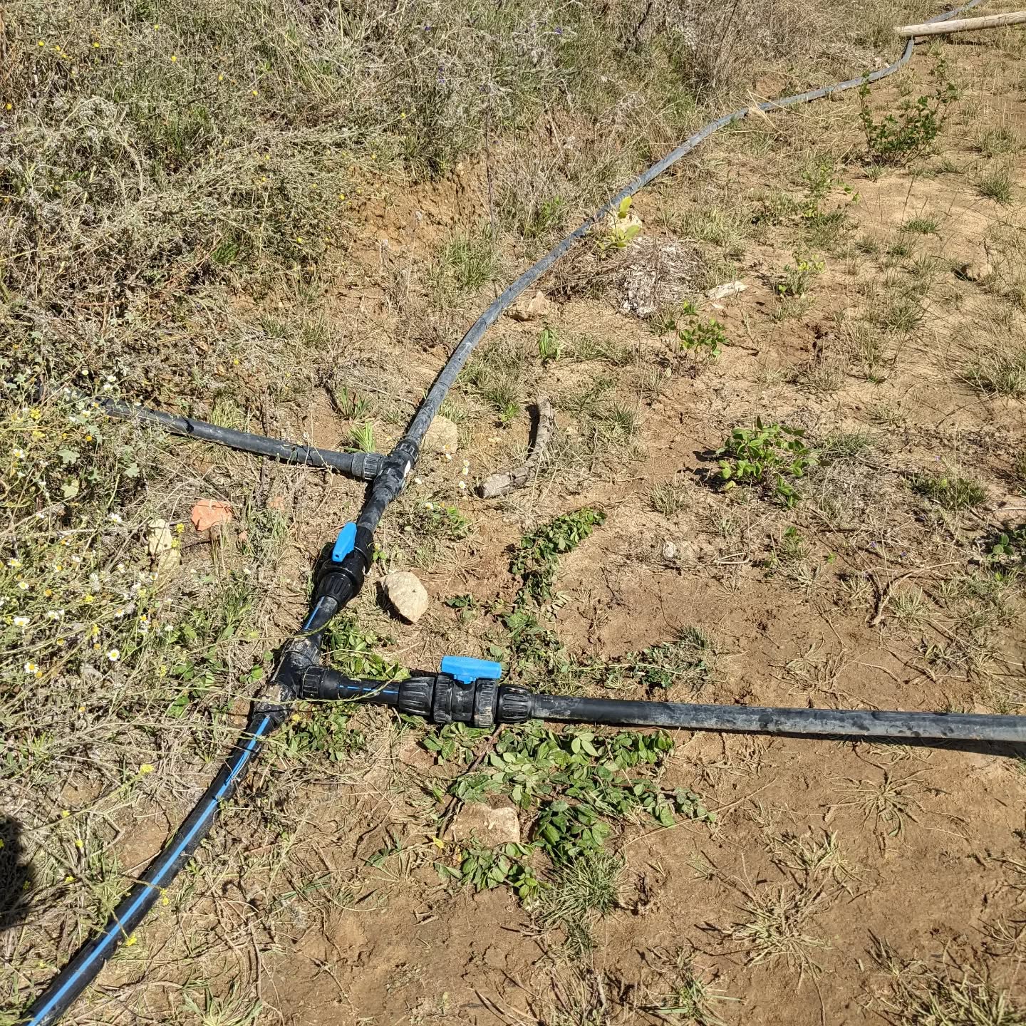 Changed shutoff valves to the #irrigation mainline ring to make it less impactful to shut down the first segments.