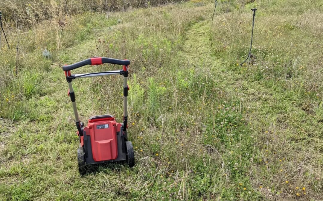 #chopanddrop #mowing one strip of #zone2