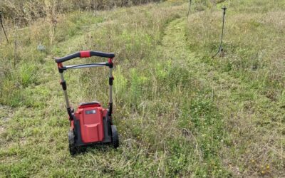 #chopanddrop #mowing one strip of #zone2