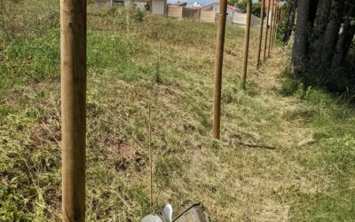 Fighting back vegetation encroaching on the east fence tree lines.