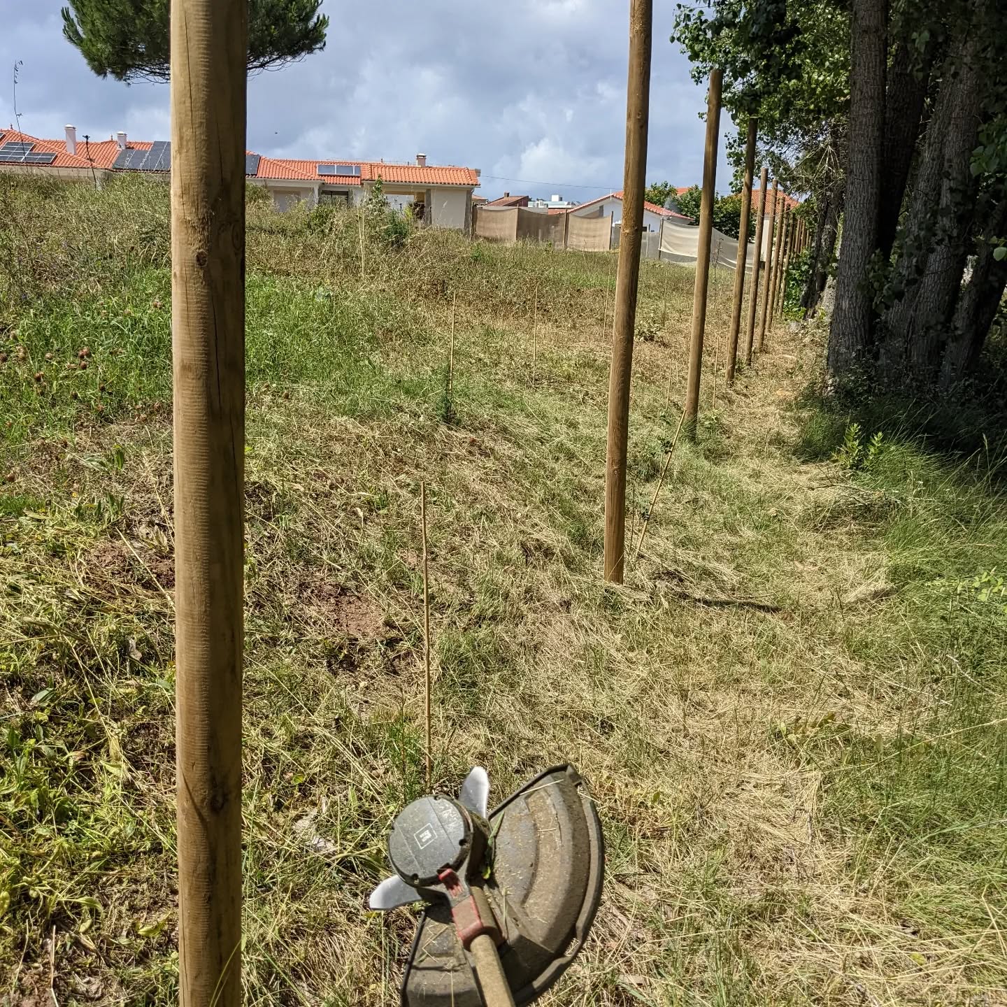 Fighting back vegetation encroaching on the east fence tree lines.