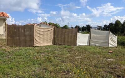 Added #hessian cloth to the posts installed the other day, to make another #windbreak. Both rolls of cloth remaining were running out, but we managed.
