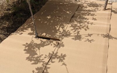 Lasagna-ing the area around the established fruit trees in zone 1.