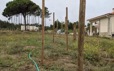 Placing fence posts for a new #windbreak to protect the playground shade tree line and the berry patch.