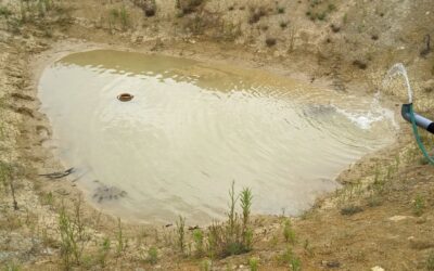 Added water to the west #pond