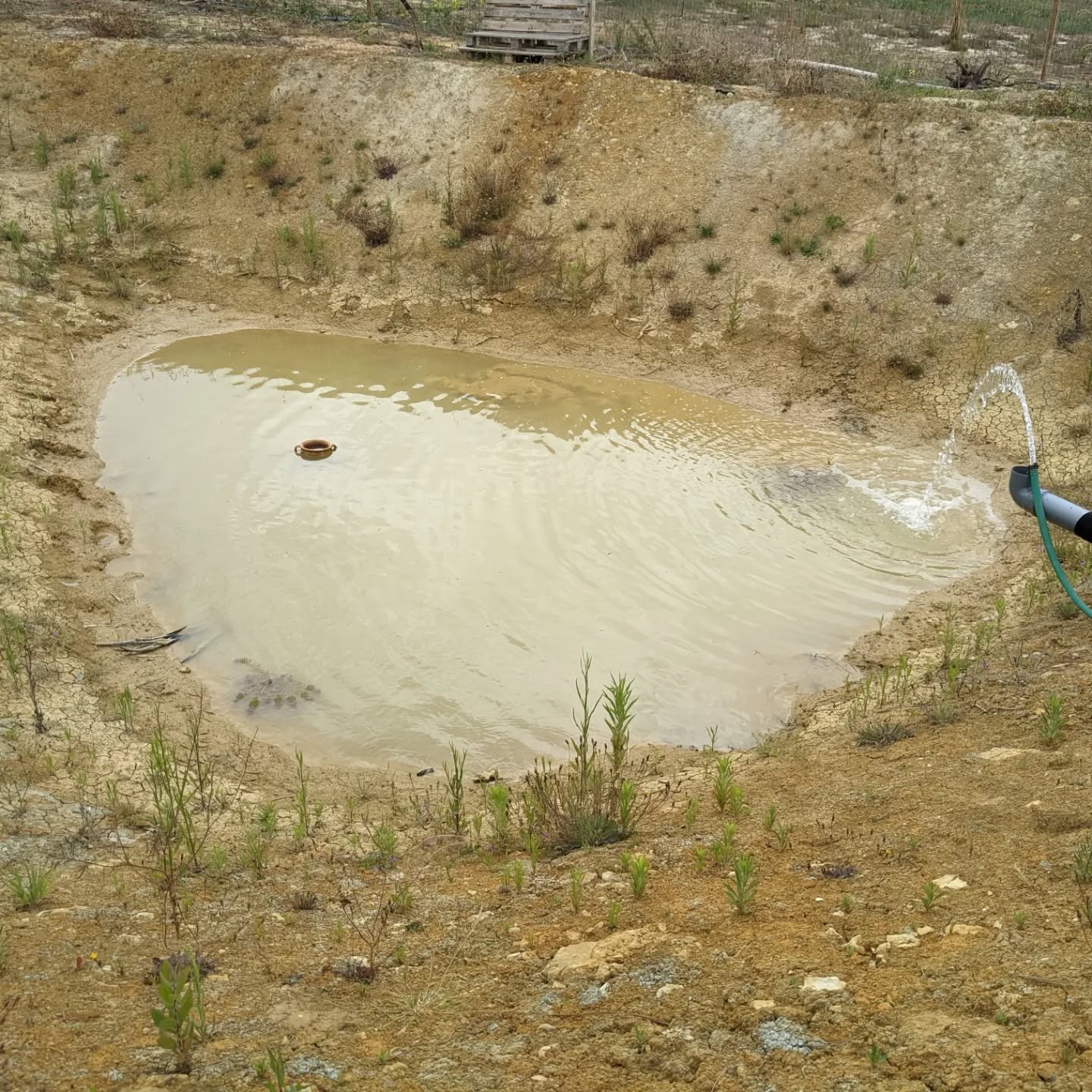 Added water to the west #pond