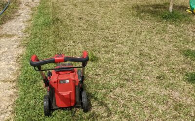 Mowing the (rather neglected) lawn.