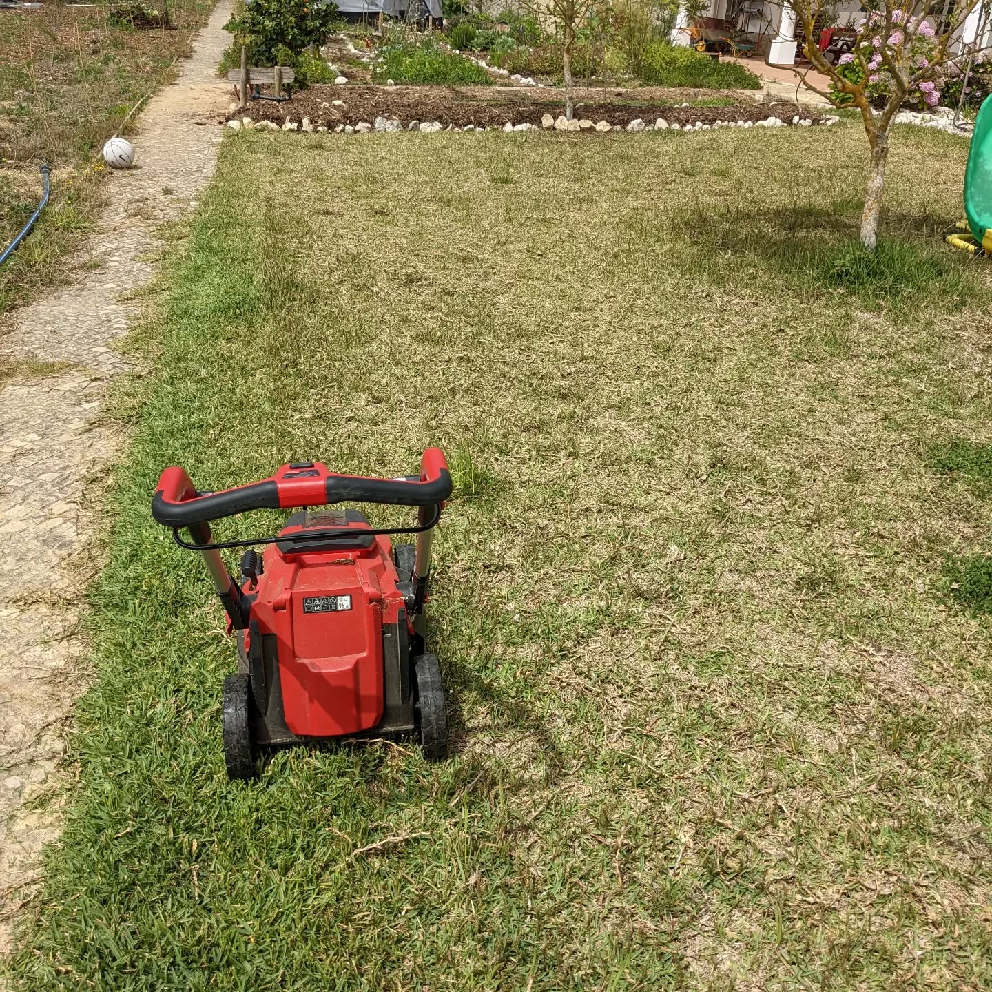 Mowing the (rather neglected) lawn.