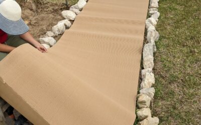 Finally got around to finishing the second bed for medicinal plants.