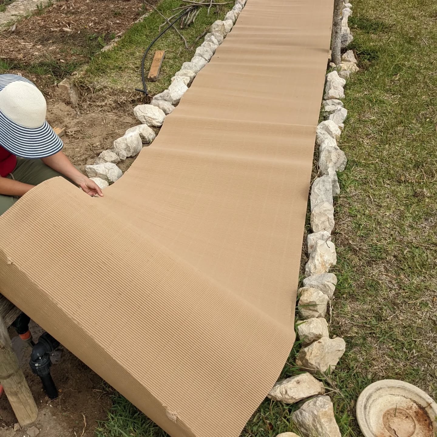 Finally got around to finishing the second bed for medicinal plants.