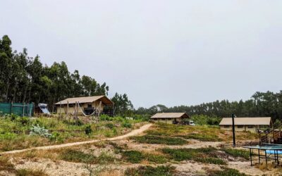 #bikeride to @glampingterradosanjos