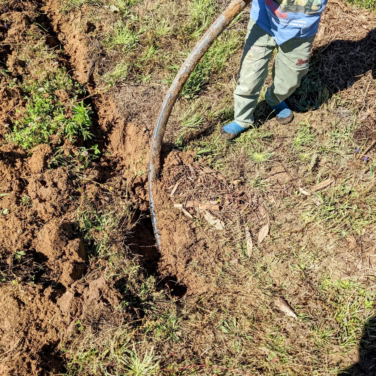 Digging up the old #irrigation mainline.