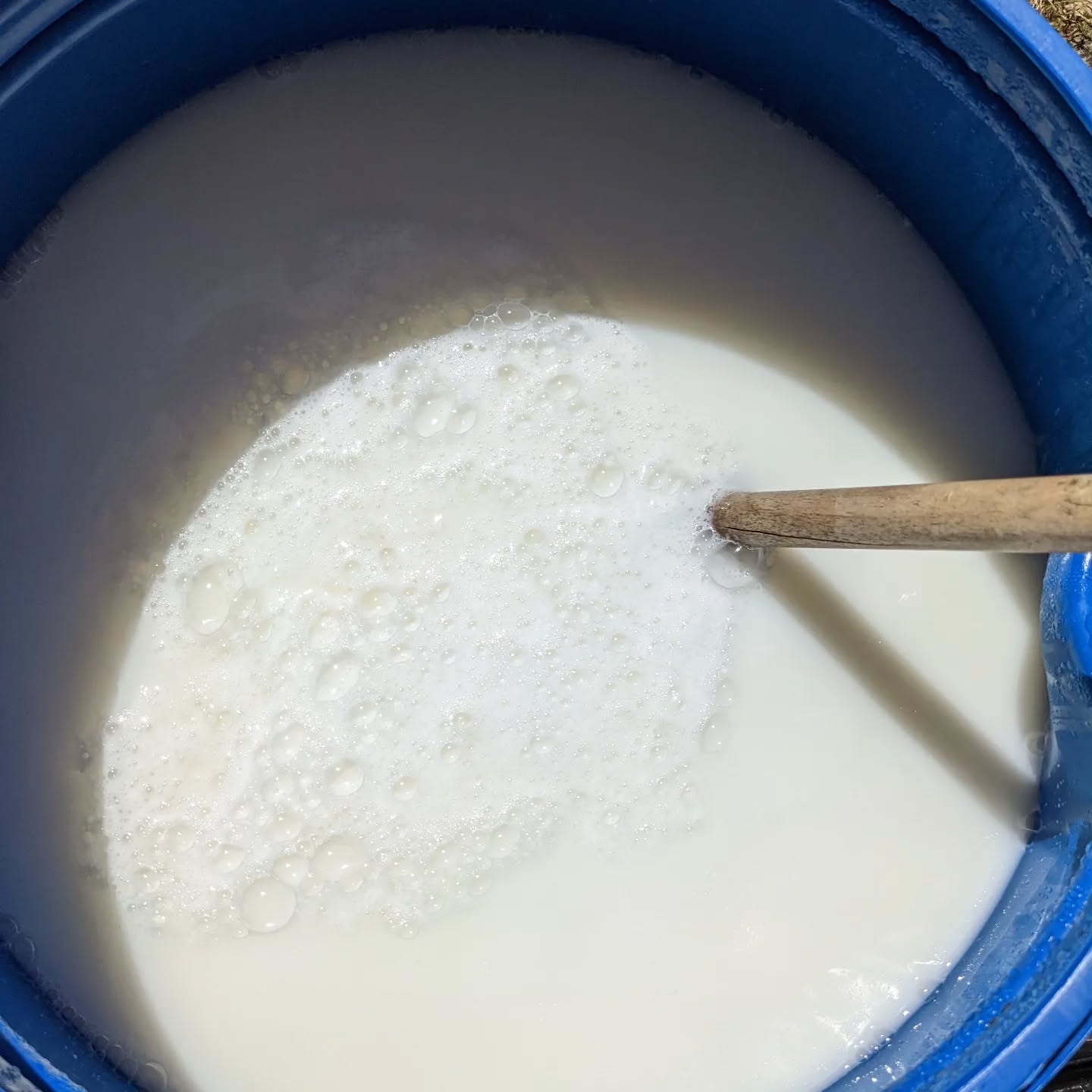 Topped up the barrel of #jadamwettingagent with water. Almost ready, but still some chunks to dissolve. Tried washing my hands with it, it’s a decent soap 😃