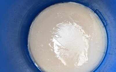 Adding water to the #jadamwettingagent started the other day. It’s milky instead of clear, so I wonder if the water was too hard. I ignored the instructions about checking water hardness…